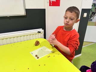 IMG_0186